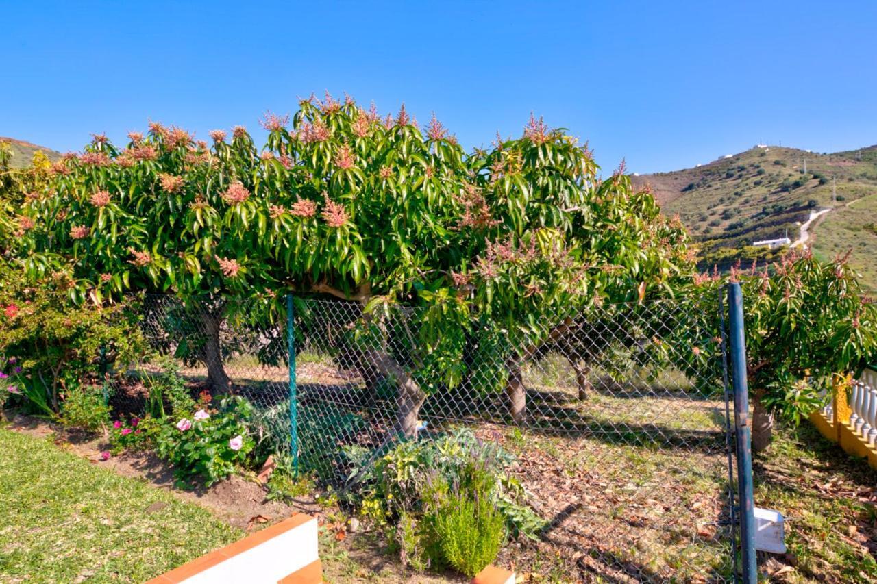 Villa Grillo Torrox Buitenkant foto